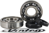VINTCO Main Bearing and Seal Kit - Honda KMB031