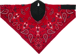 ZAN HEADGEAR Neodanna? SportFlex? Face Mask - Red Paisley NEOL106
