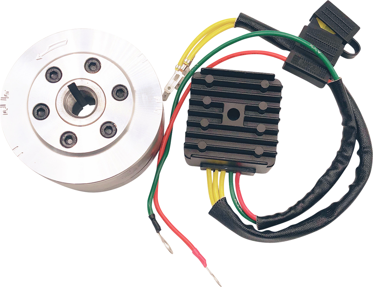 RICK'S MOTORSPORT ELECTRIC Charging Kit - Honda 99-111