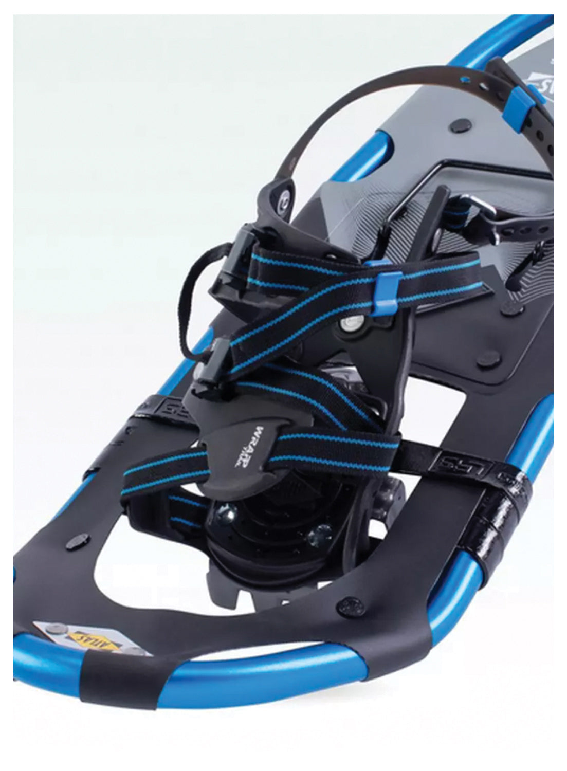 Access Women's 23 Cyan