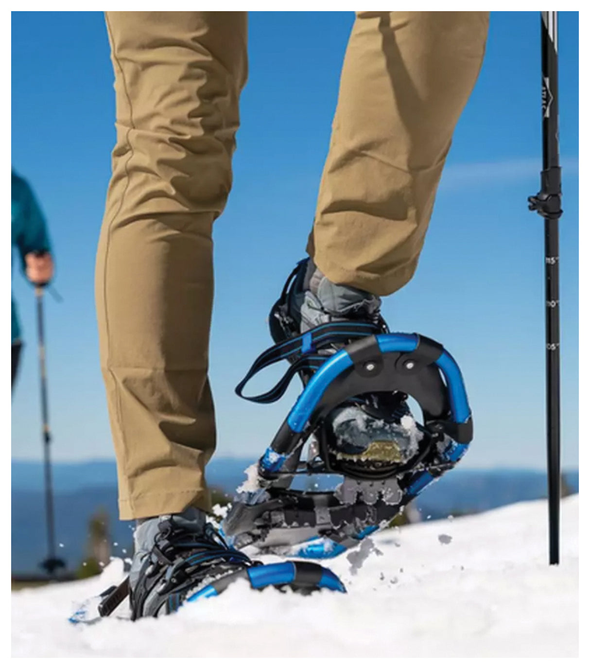 Access Women's 23 Cyan