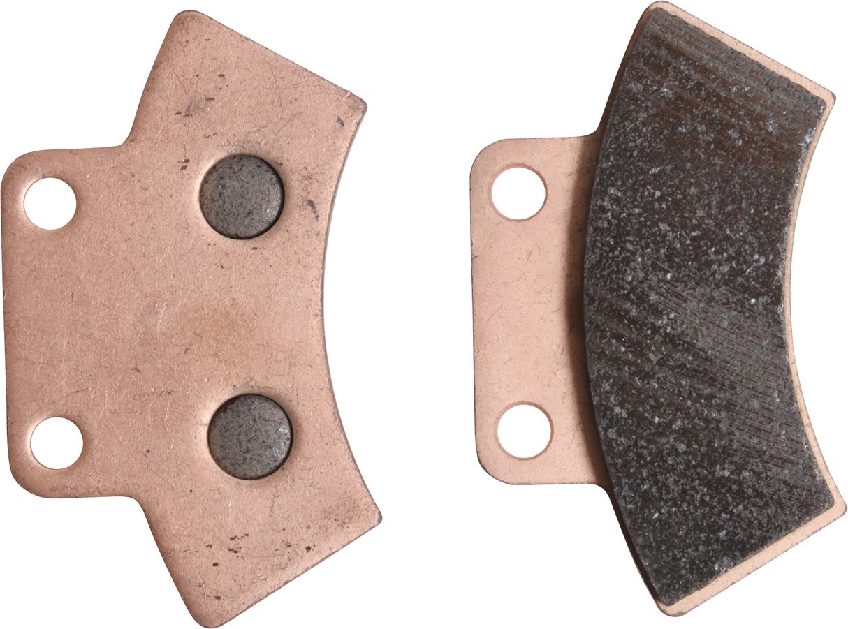 ALL BALLS Sintered Brake Pads 18-8030