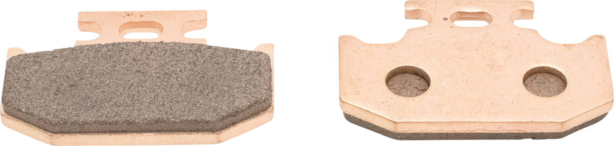 ALL BALLS Sintered Brake Pads 18-8055