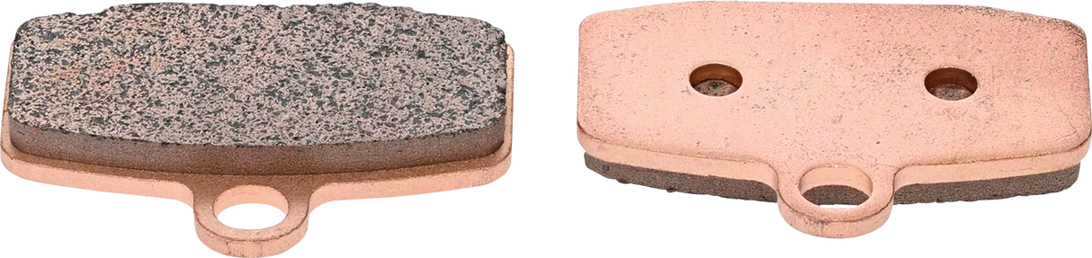 ALL BALLS Sintered Brake Pads 18-8074