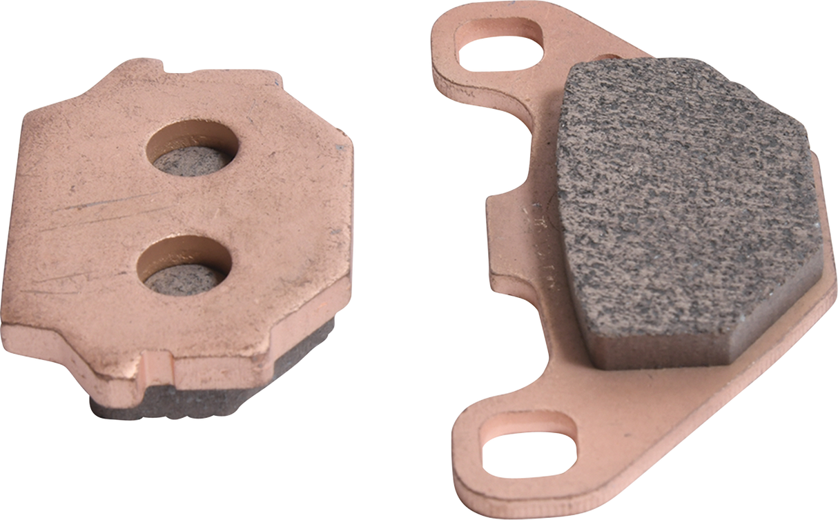 ALL BALLS Sintered Brake Pads 18-8029