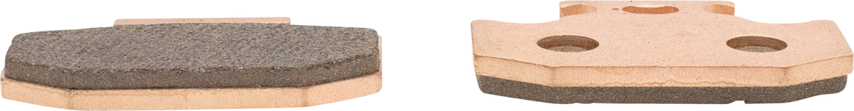 ALL BALLS Sintered Brake Pads 18-8055