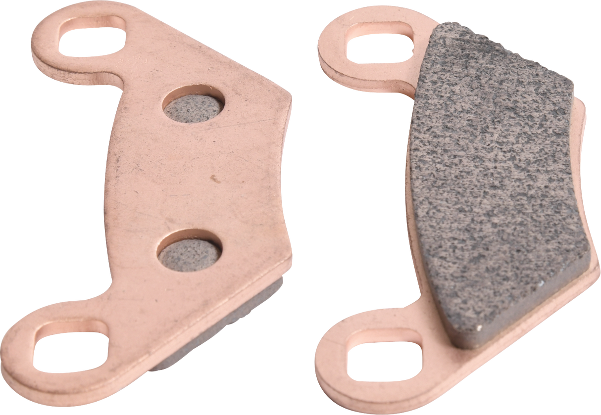 ALL BALLS Sintered Brake Pads 18-8019