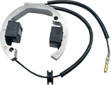 RICK'S MOTORSPORT ELECTRIC Stator - Husqvarna/KTM 210093