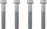 XTRIG Screw Set - PHDS 501070000601