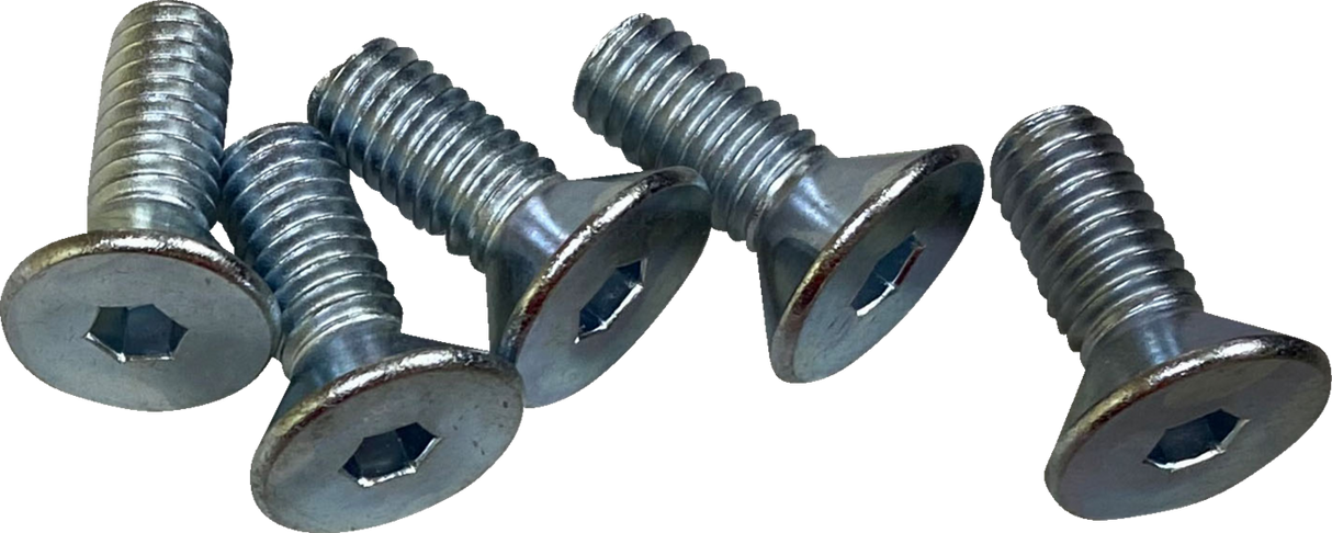DRAG SPECIALTIES Hardware Kit - Brake Rotor - Socket-Head - Front - 5/16"-18 O39-0404