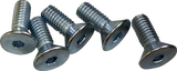 DRAG SPECIALTIES Hardware Kit - Brake Rotor - Socket-Head - Front - 5/16"-18 O39-0404