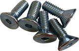 DRAG SPECIALTIES Hardware Kit - Brake Rotor - Socket-Head - Front - 5/16"-18 O39-0407 - Cycle City Outdoors