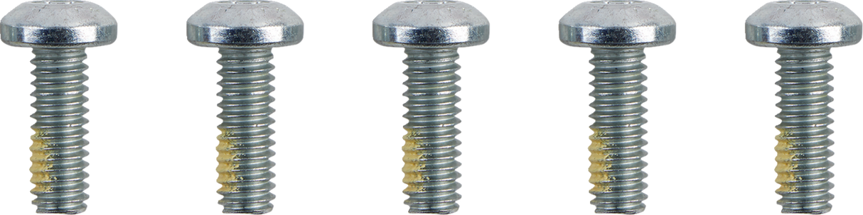 DRAG SPECIALTIES Hardware Kit - Brake Rotor - Torx - without Nuts - 5/16"-18 O39-0401