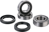 FACTORY LINKS Wheel Bearing Kit - Rear RWK-Q-011