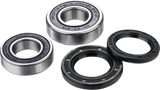 FACTORY LINKS Wheel Bearing Kit - Rear RWK-Y-146
