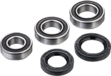 FACTORY LINKS Wheel Bearing Kit - Rear RWK-G-007