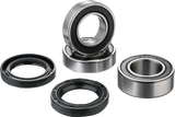 FACTORY LINKS Wheel Bearing Kit - Rear RWK-Q-011