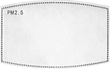 ZAN HEADGEAR Replacement PM 2.5 Filter - 5 Pack FILTER-01