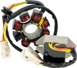RICK'S MOTORSPORT ELECTRIC Lithium-Ion Compatible Charging Kit - KTM 14-99-902H