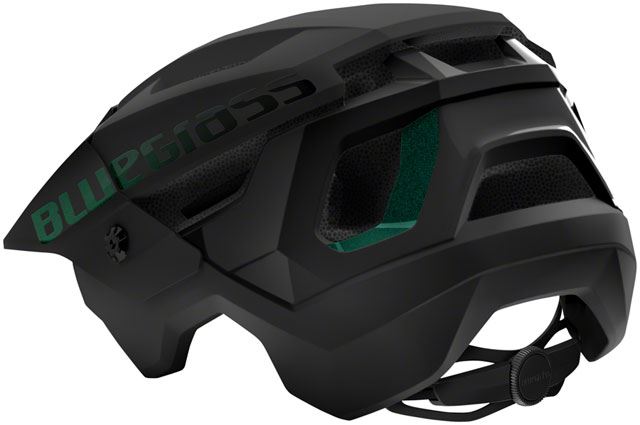 Bluegrass Rogue Core MIPS Helmet