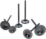 HOT CAMS Intake Valve - Titanium - Honda 8400001-2