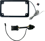 CUSTOM DYNAMICS Lighted License Plate Frame - Gloss Black - RZR Pro CD-LPF-RZRPRO