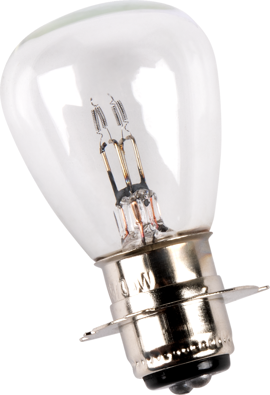 SHOW CHROME Replacement Bulb - GL 1500 10-295