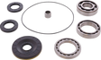 MOOSE RACING Differential Bearing/Seal Kit - Rear - Can-Am 25-2151 - Cycle City Outdoors