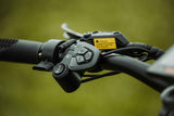 Rambo Rebel 2.0 SS (Single Speed)