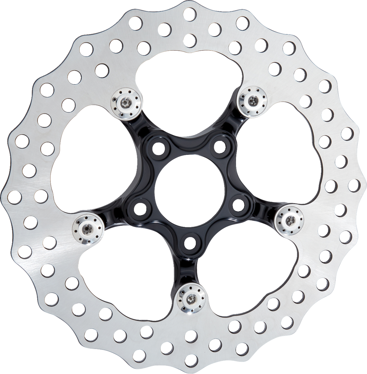 ARLEN NESS Spider Rotor - 11-1/2" - Black 300-056