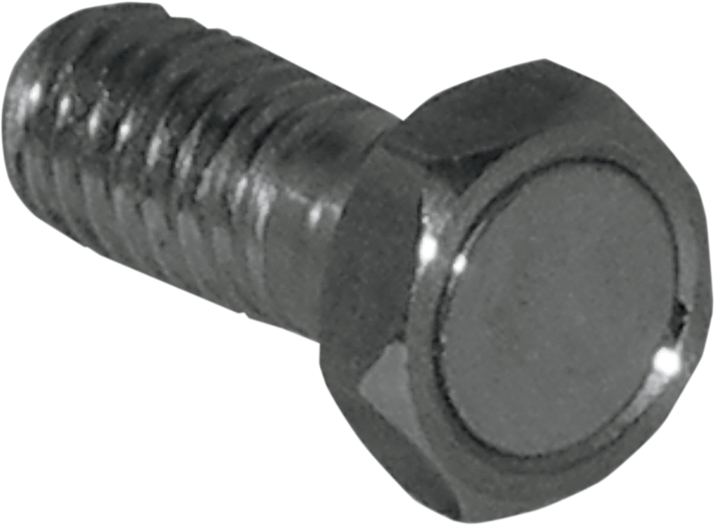 KOSO NORTH AMERICA Speed Sensor Magnet Bolt - 5/16" - 18 x 7/8" L BF010500