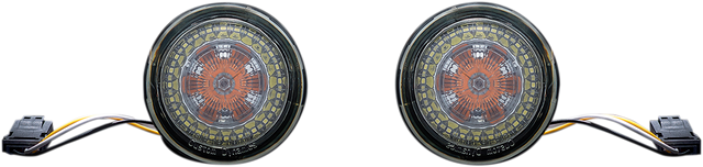 Custom Dynamics ProBEAM? Dynamic Ringz* Turn Signals - JAE PB-AW-JAE - Cycle City Outdoors