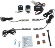 Custom Dynamics Slimline Magical Wizards* Lights - Standard TMWZ07 - Cycle City Outdoors