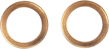 DRAG SPECIALTIES Replacement Fork Damper Tube Mount Washers C23-0236NU-2W - Cycle City Outdoors