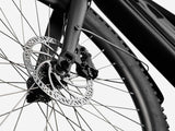 Cannondale - 2023 Adventure Neo Allroad - Black - L