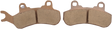 DP BRAKES Standard Brake Pads - Can-Am DP573 - Cycle City Outdoors
