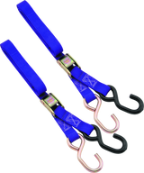 BikeMaster 1in Tiedown - Purple