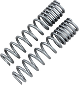 HIGH LIFTER Rear Shock Springs - Silver 79-13869