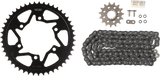 VORTEX CK6451 Chain and Sprocket Kit - HFRS - Black - Yamaha FZ/MT-09/XSR900 | Street
