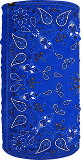 ZAN HEADGEAR Motley Tube? Fleece Lined - Blue Paisley TF111