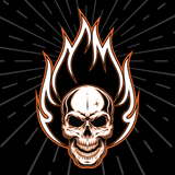 ZAN HEADGEAR Flydanna? Head Wrap - Flaming Skull Z312