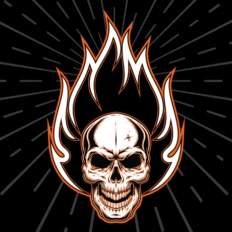 ZAN HEADGEAR Flydanna? Head Wrap - Flaming Skull Z312