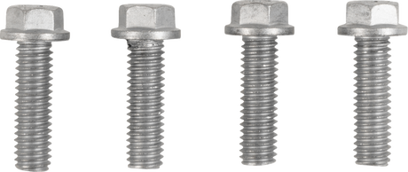 MOOSE OFFROAD Radiator Guards - Silver - Triumph 12-2024