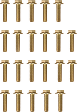MOOSE OFFROAD Beadlock Bolts - Replacement - 544X - Pack RBYZ-8X30-109-PK