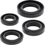 MOOSE OFFROAD Oil Seal Kit - Honda 822163mse