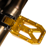 THRASHIN SUPPLY CO. Aggressor Foot Pegs - Rear - Gold - HD '72-'25 TSC-2022-5-D