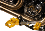 THRASHIN SUPPLY CO. Aggressor Foot Pegs - Rear - Gold - HD '72-'25 TSC-2022-5-D