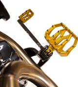 THRASHIN SUPPLY CO. Mini Aggressor Floorboards - Gold - Rear TSC-2031-5-D