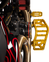 THRASHIN SUPPLY CO. Aggressor Floorboards - Gold TSC-2219-5