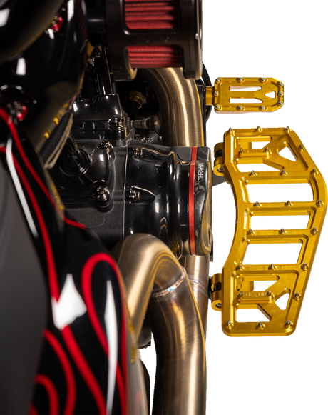THRASHIN SUPPLY CO. Aggressor Floorboards - Gold TSC-2219-5